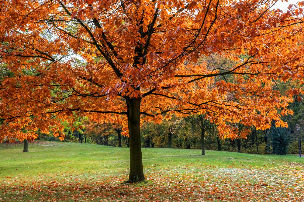 Herbstzeit