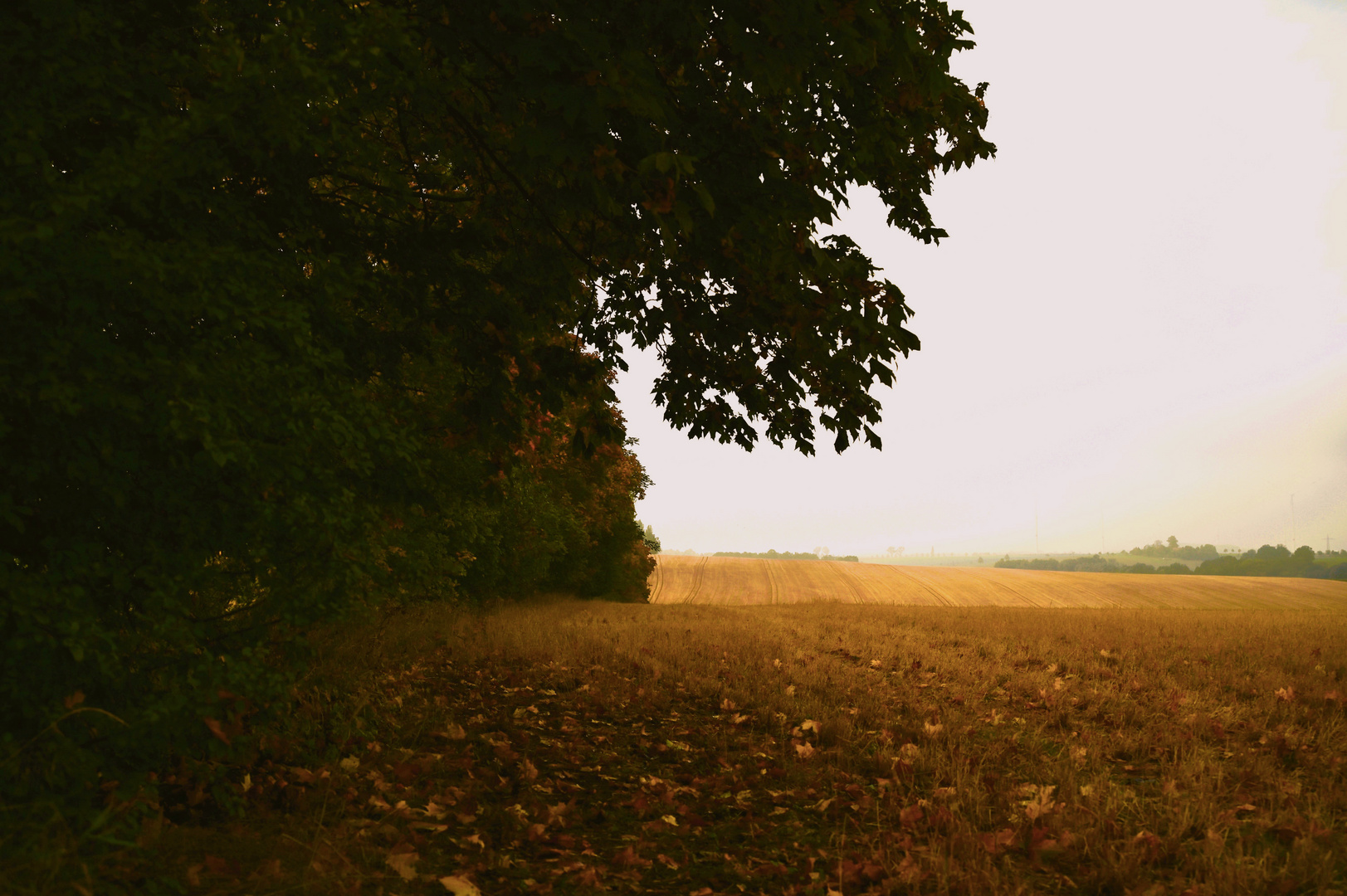 Herbstzeit