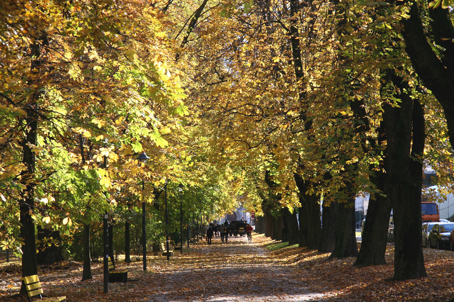 HERBSTZEIT