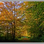 Herbstzeit