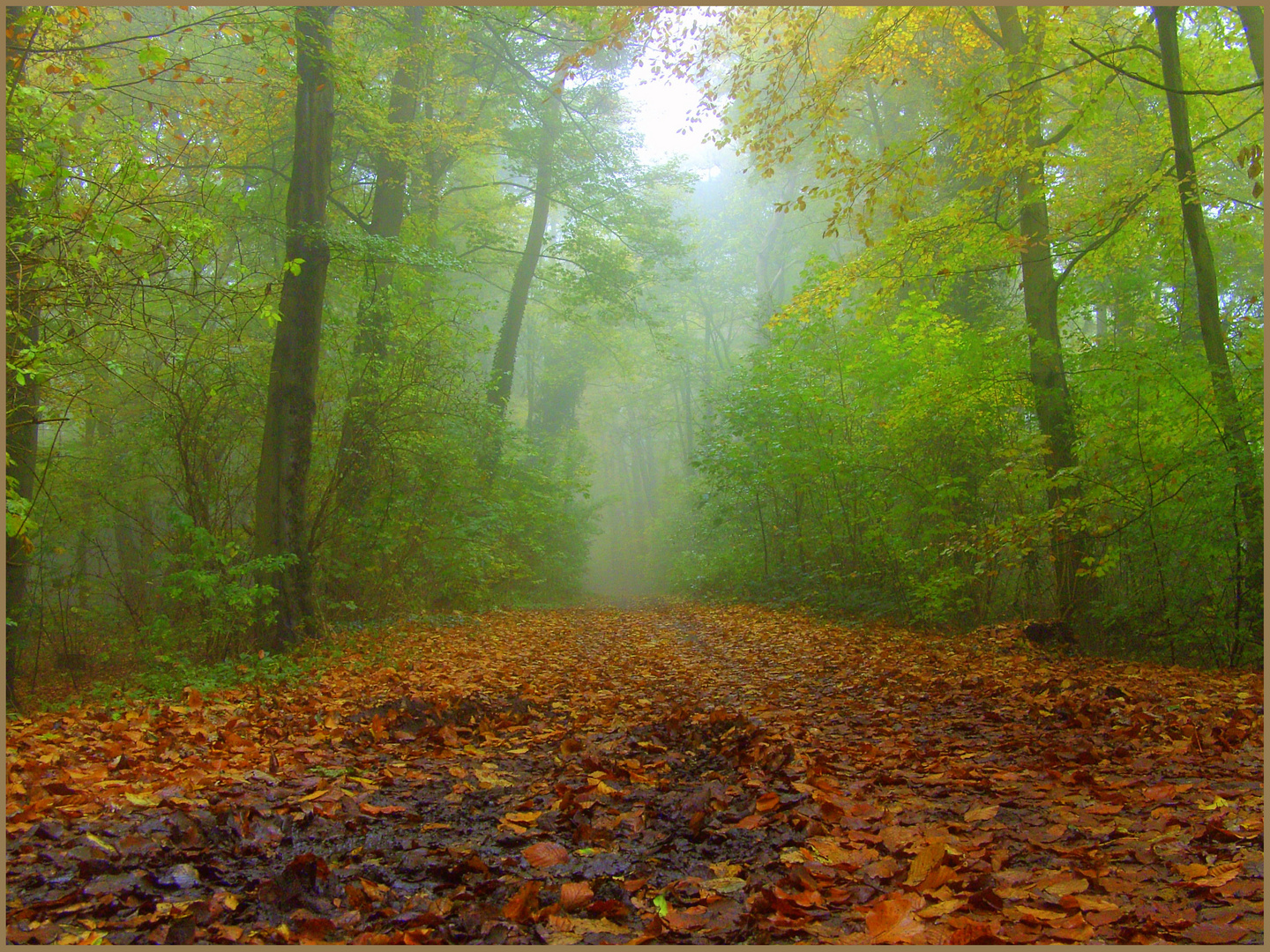 Herbstzeit