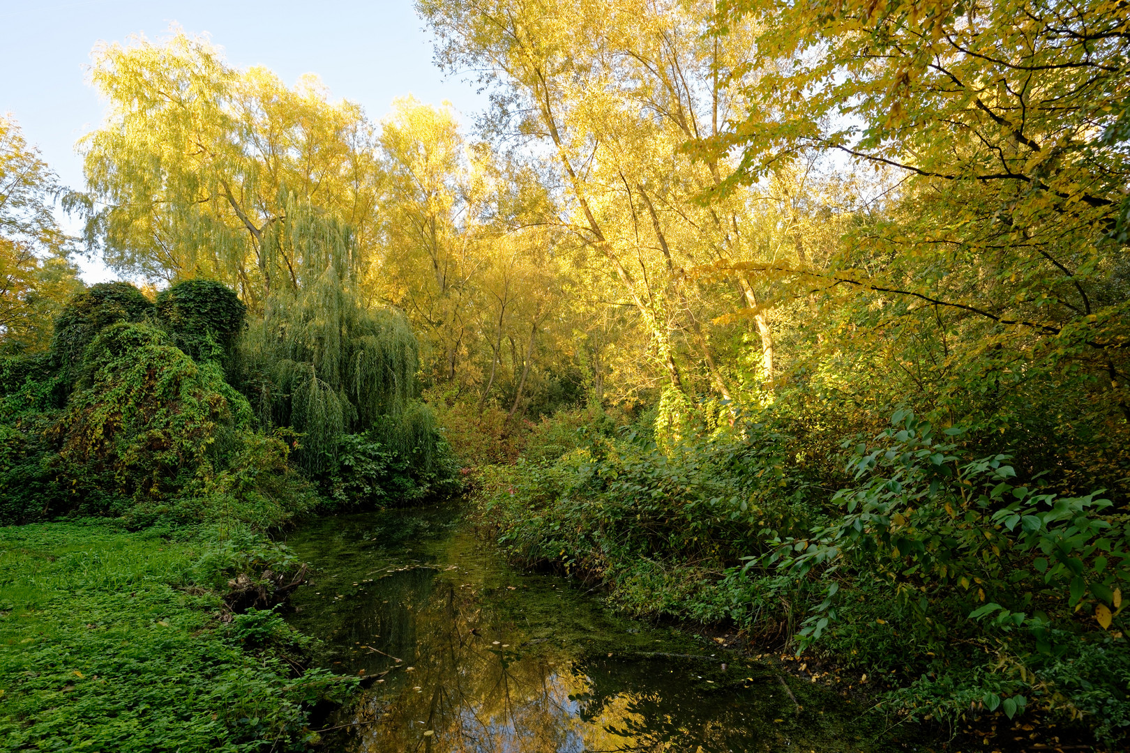 Herbstzeit