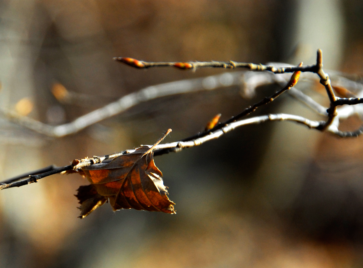 Herbstzeit