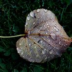 Herbstzeit