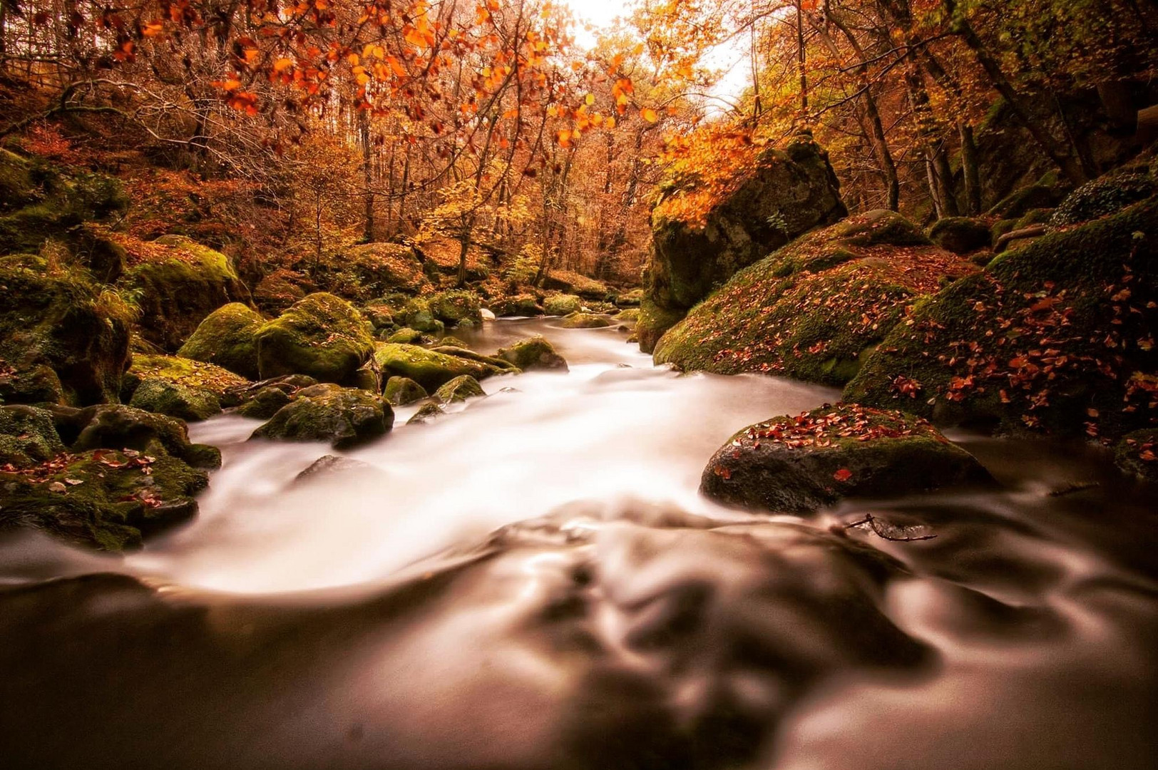 Herbstzeit 