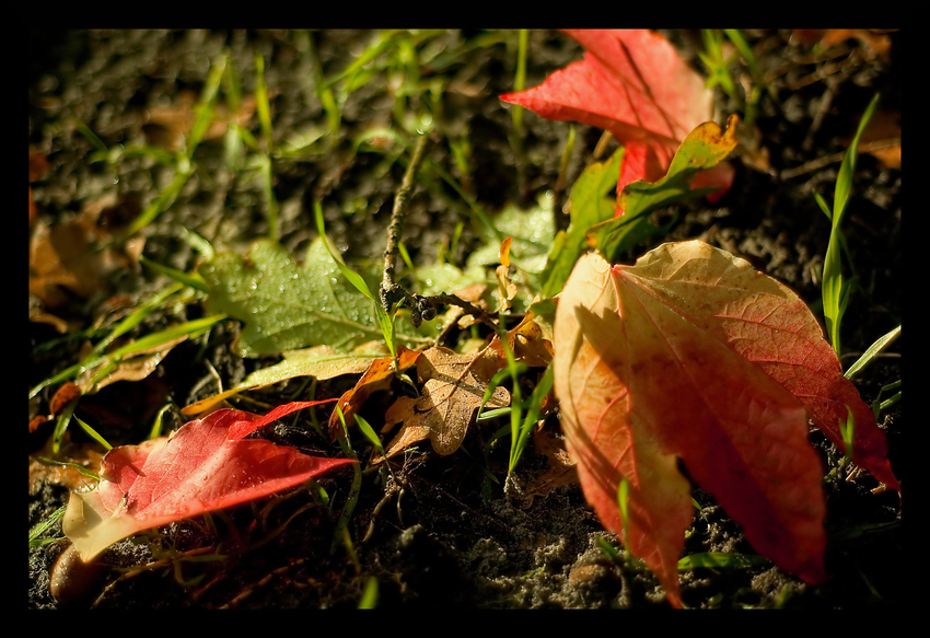 Herbstzeit