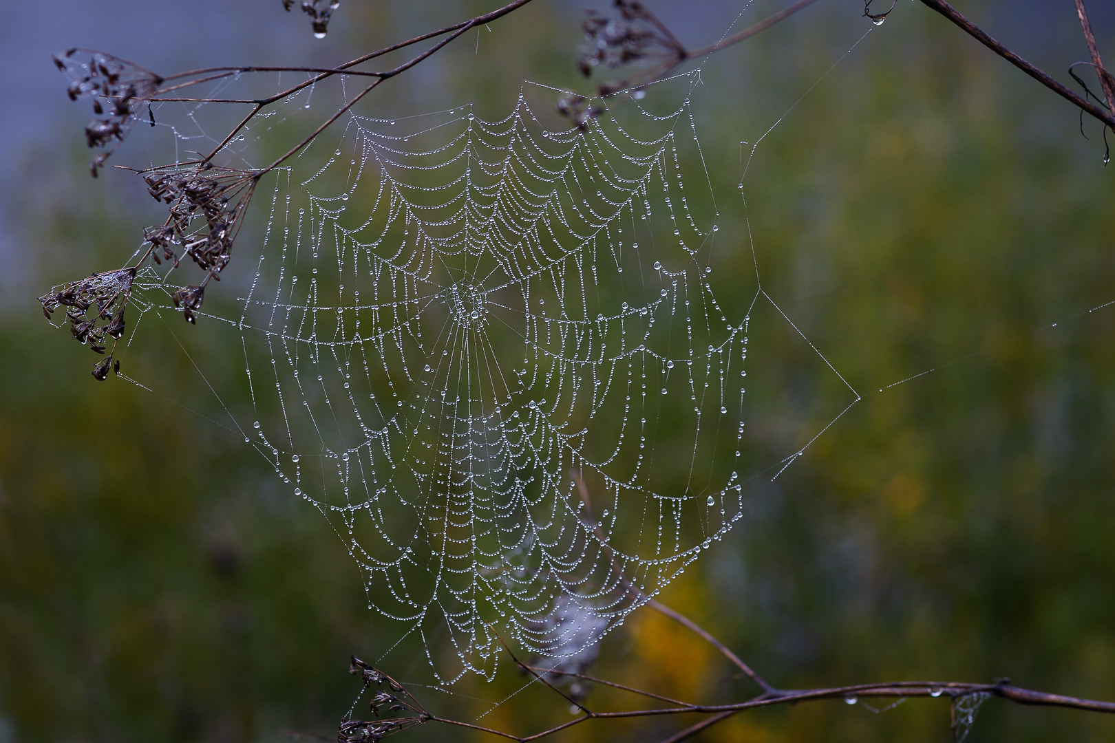 Herbstzeit