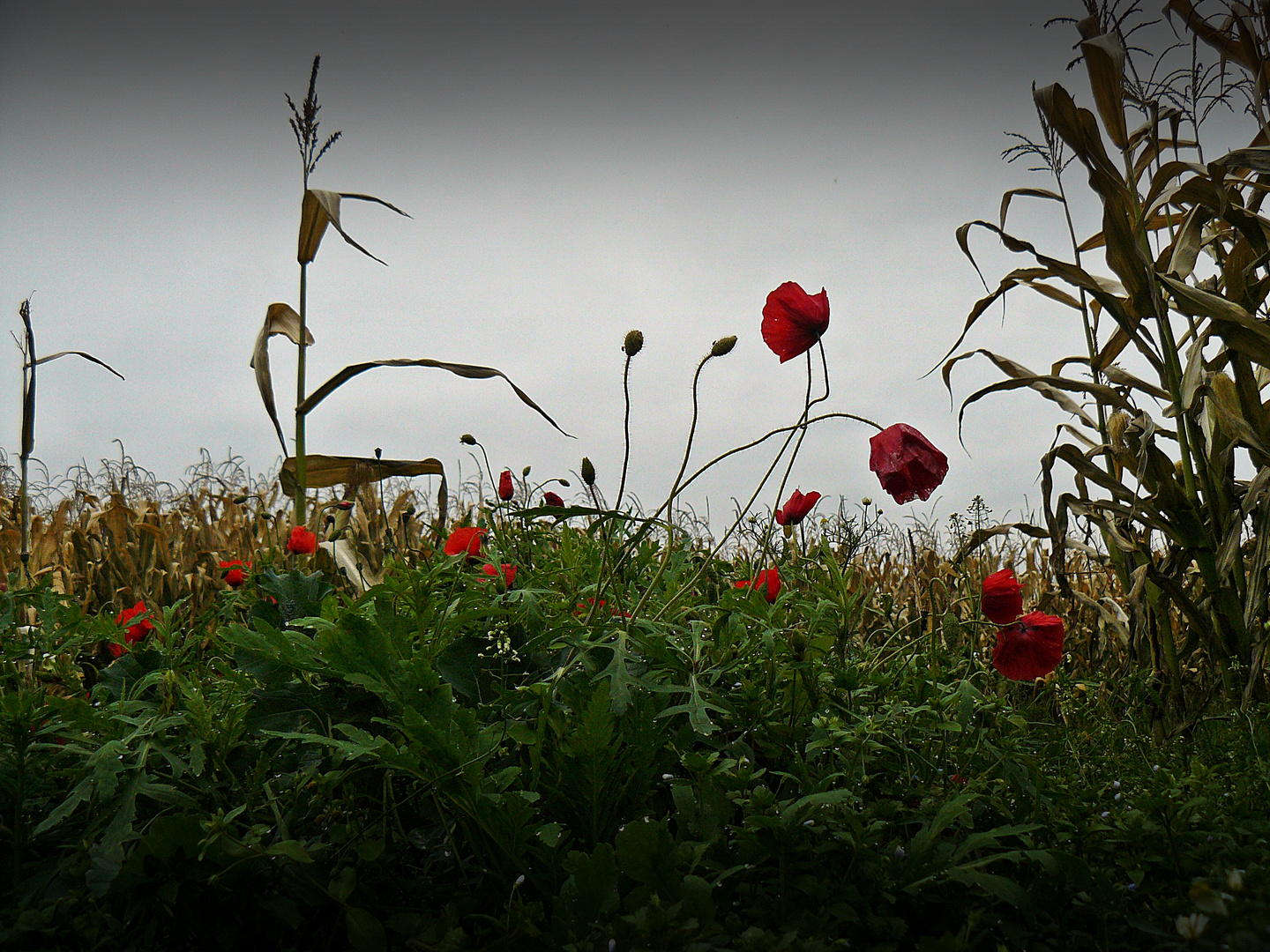 Herbstzeit