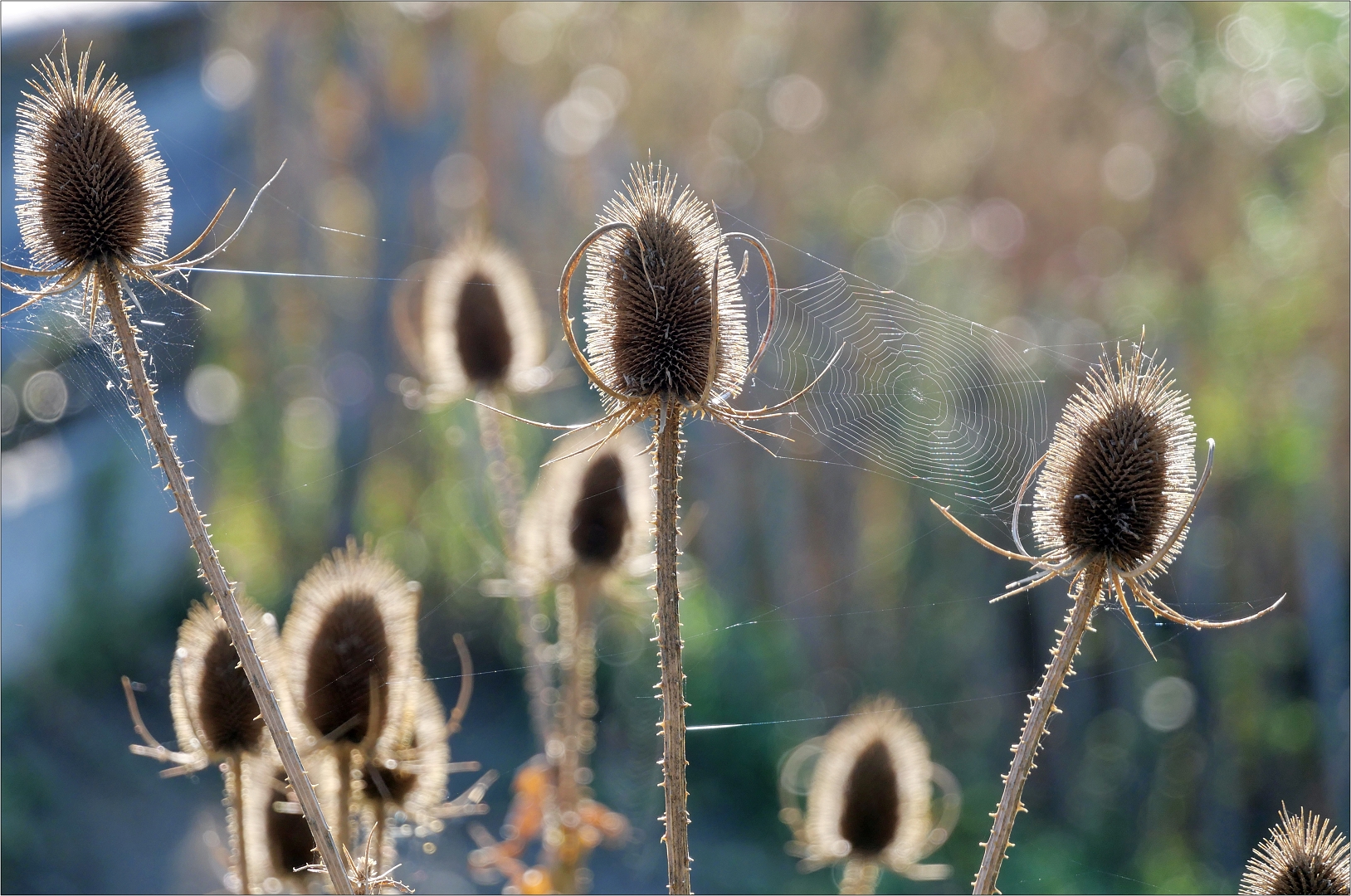 Herbstzeit