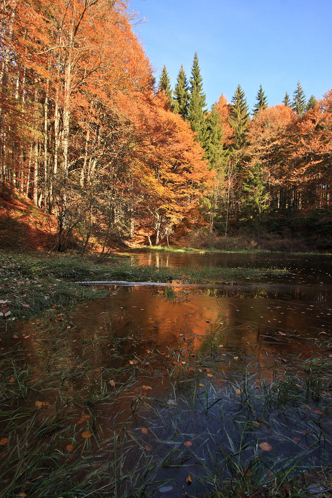 Herbstzeit