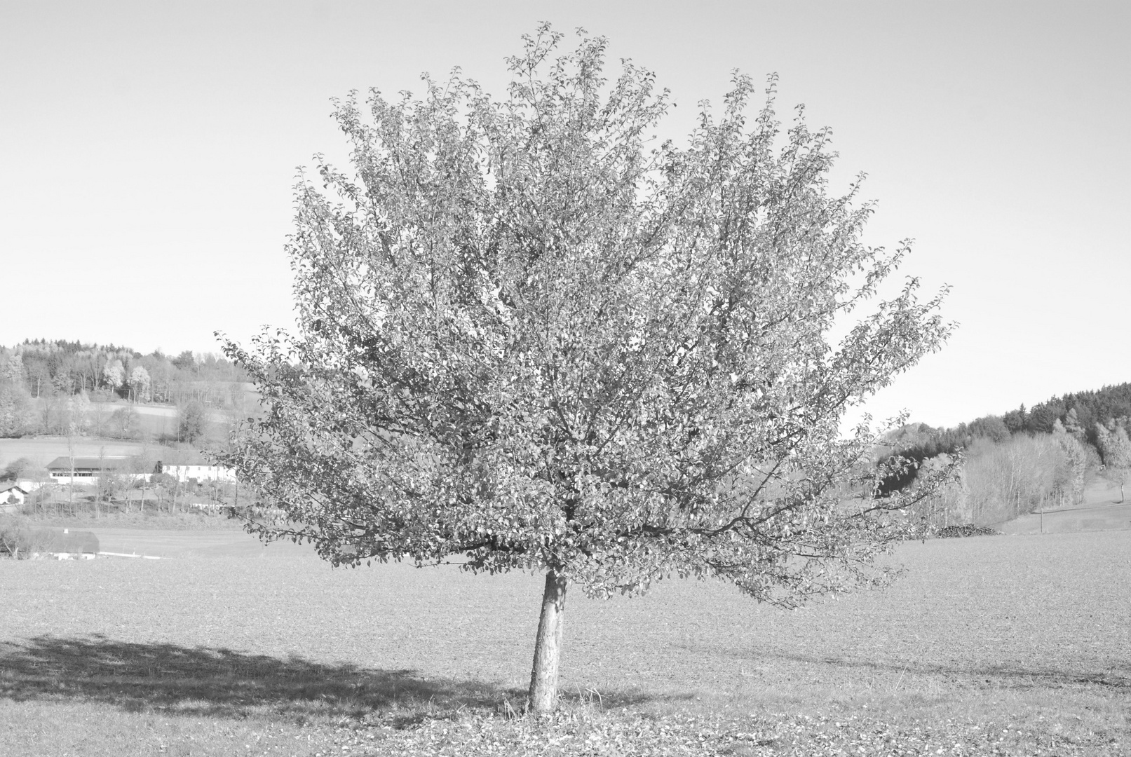 Herbstzeit