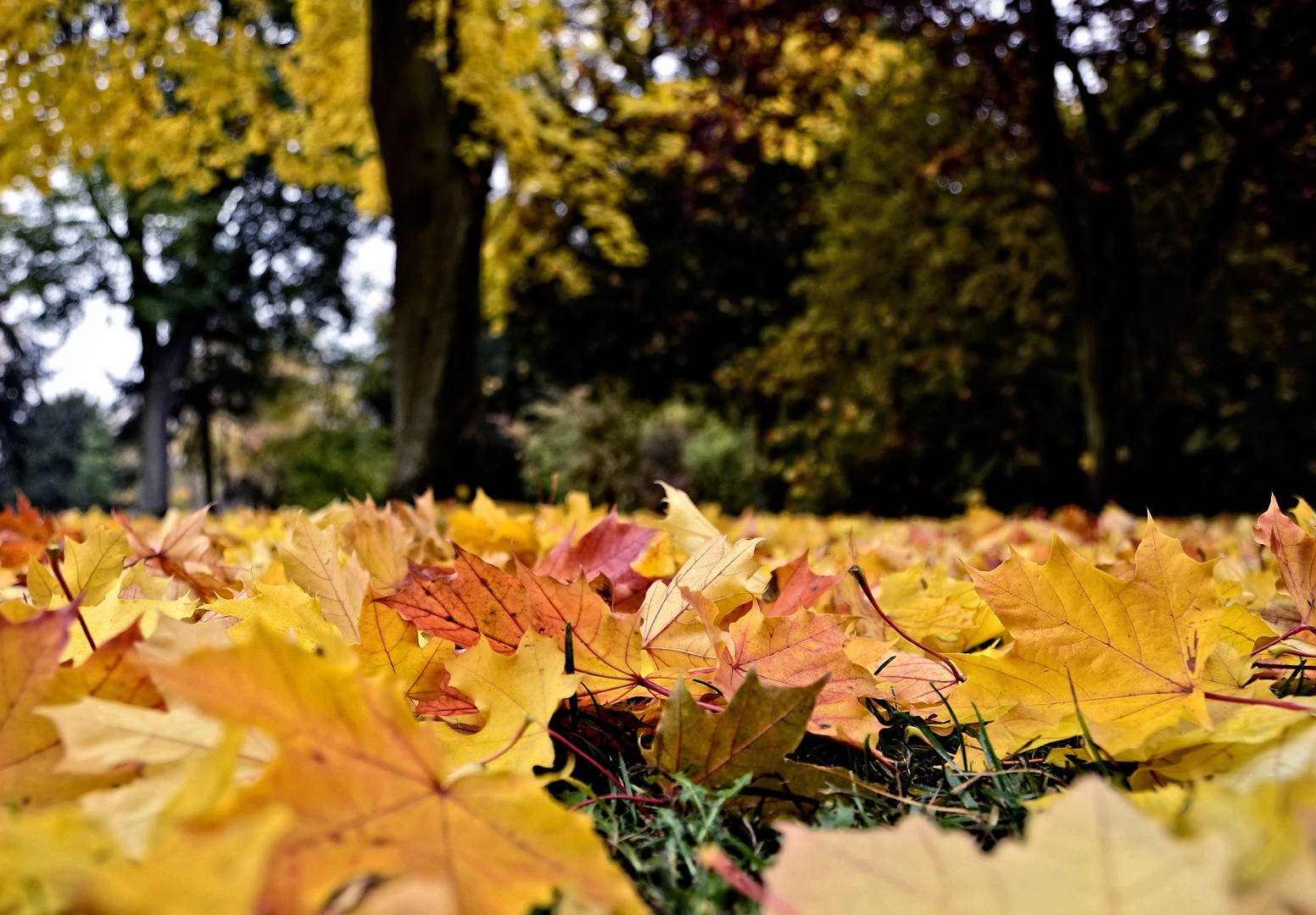 Herbstzeit