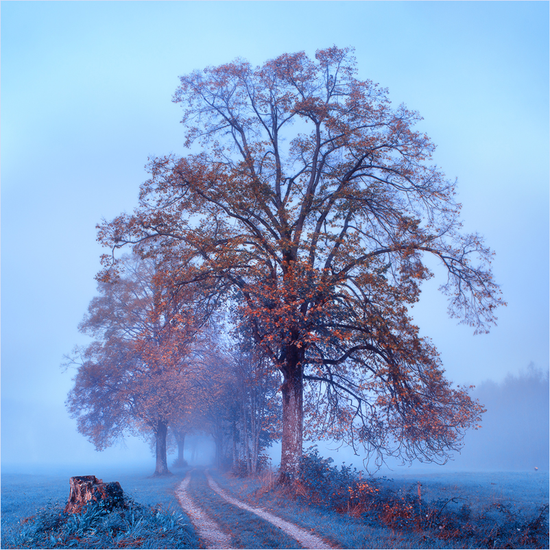 Herbstzeit