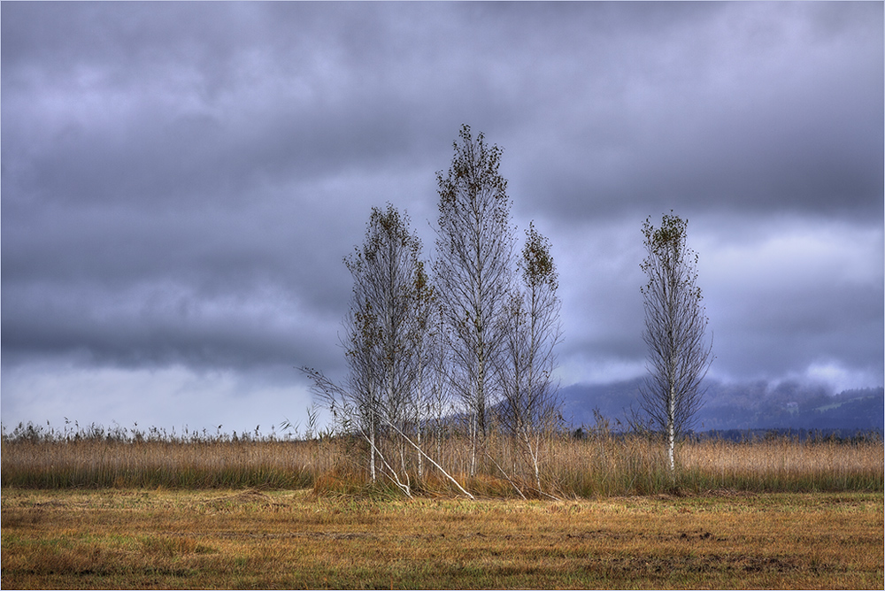 Herbstzeit