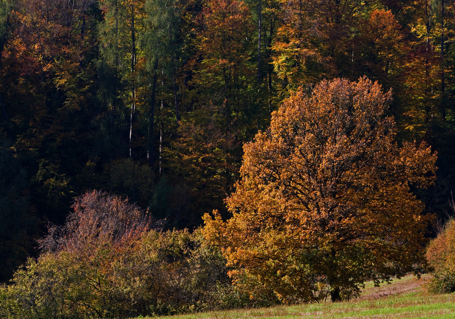 Herbstzeit