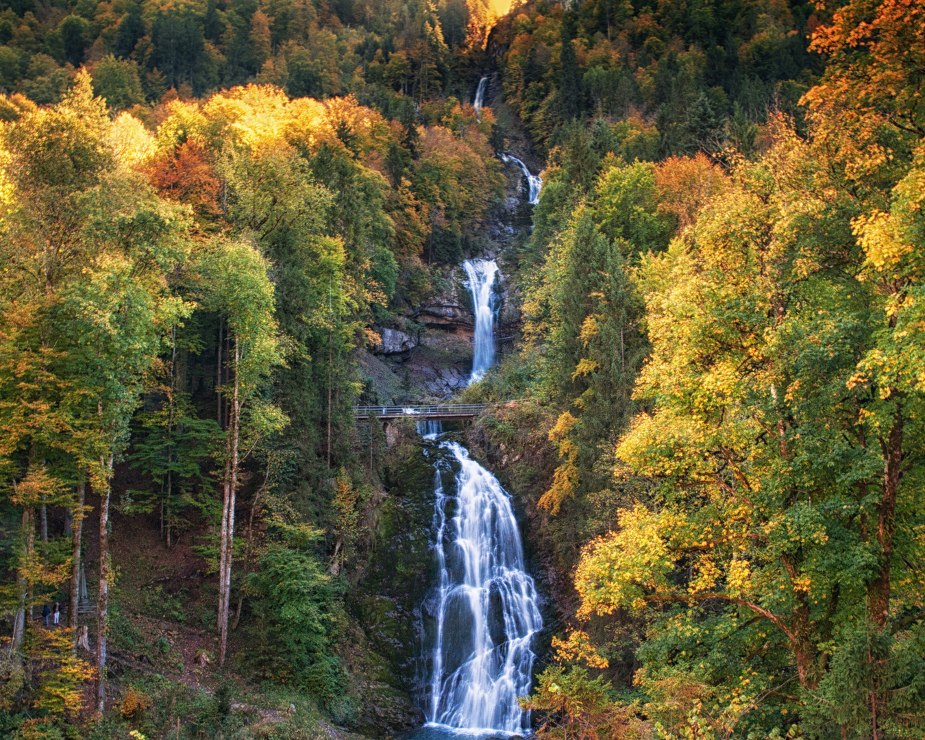 Herbstzeit