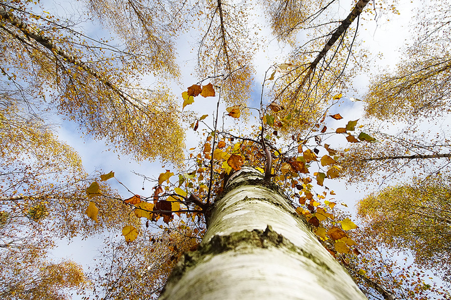 Herbstzeit