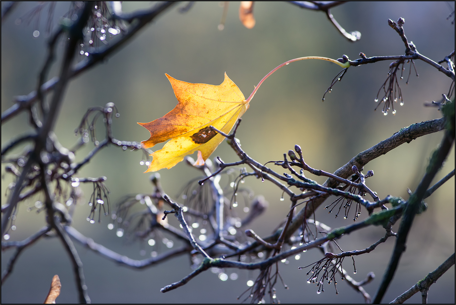 Herbstzeit