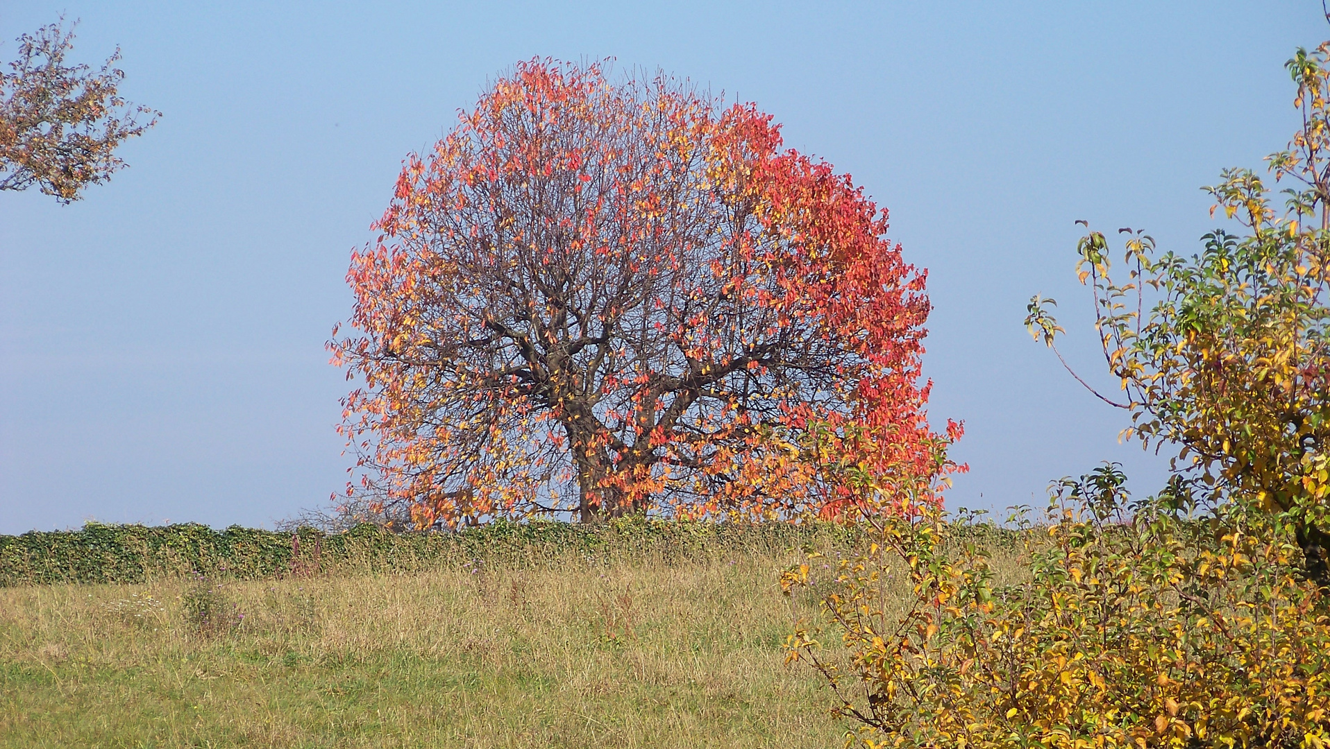 Herbstzeit