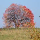 Herbstzeit