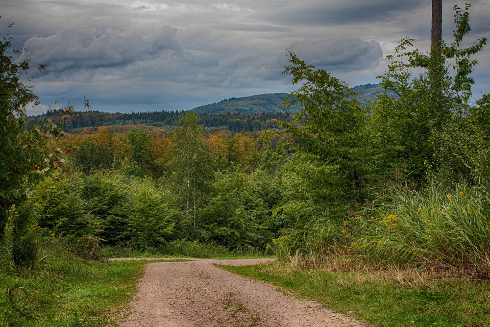 Herbstzeit