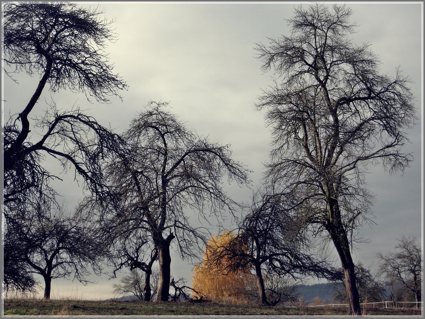 Herbstzeit