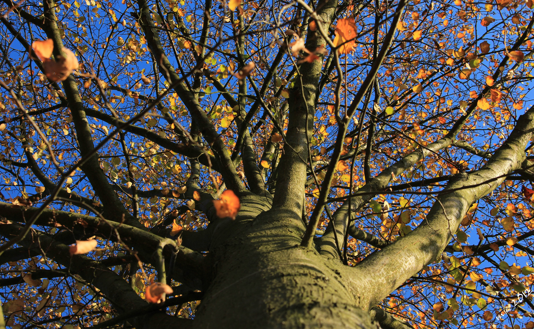 herbstzeit