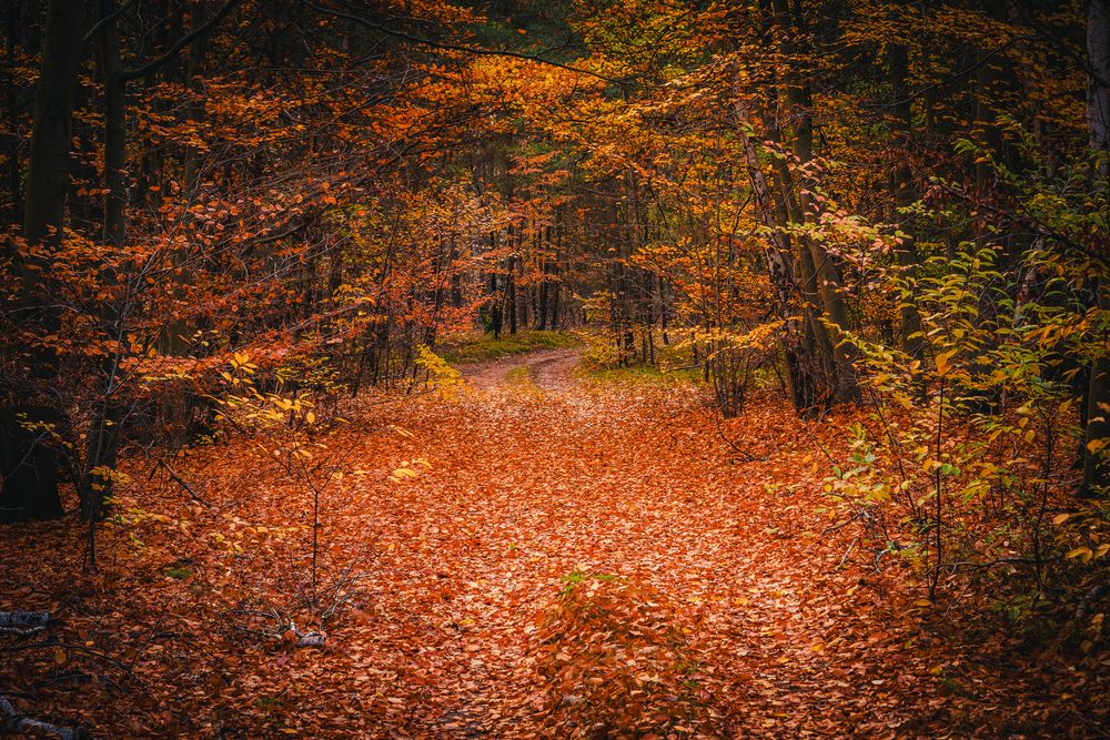 Herbstzeit