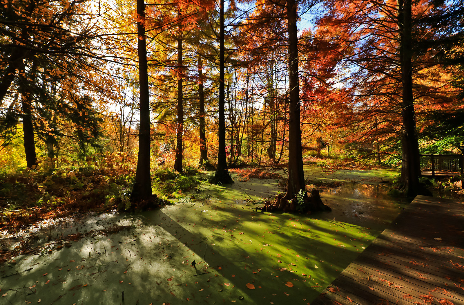 Herbstzeit