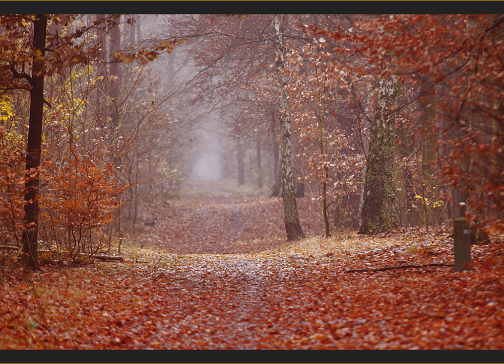 Herbstzeit