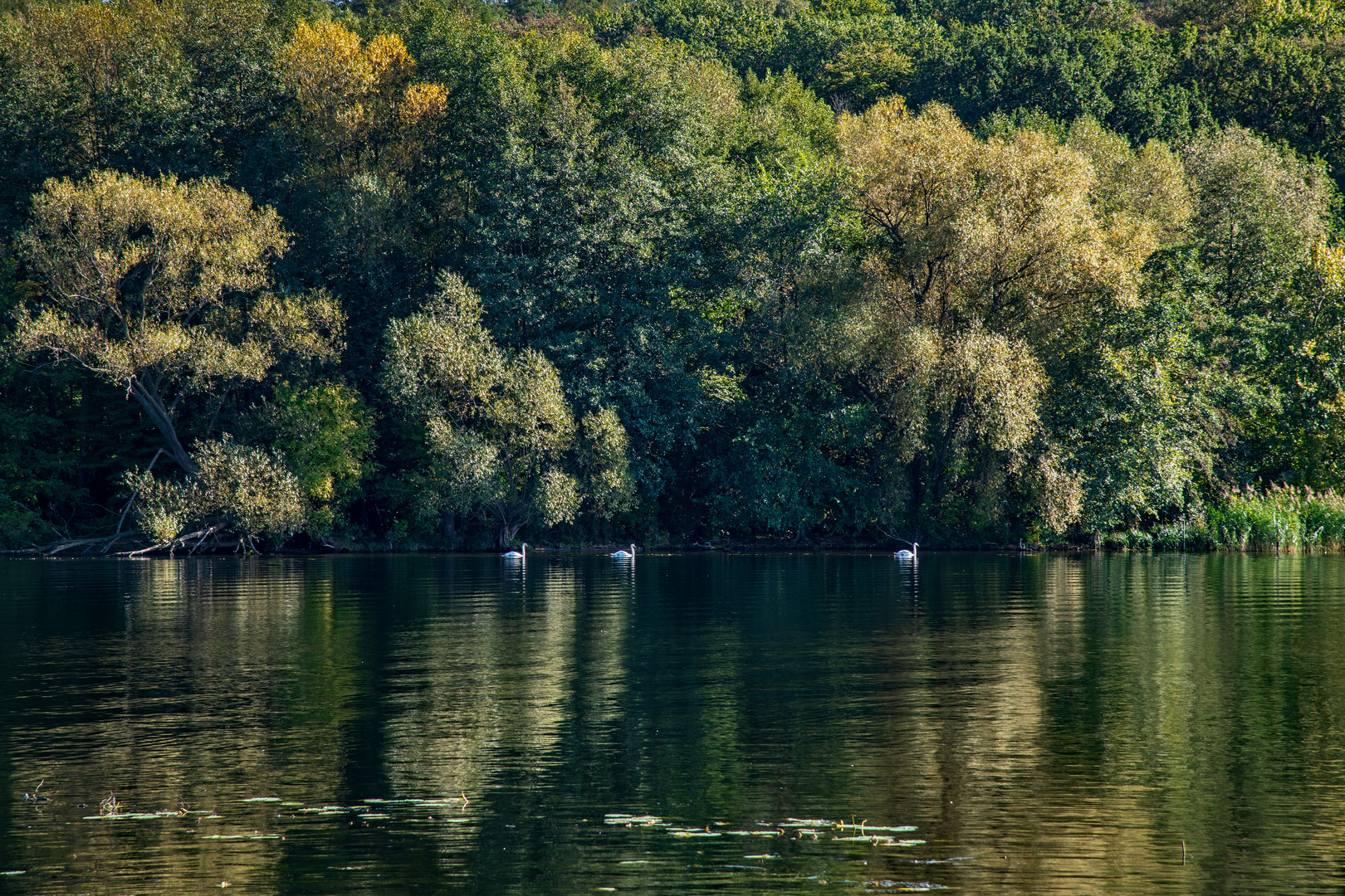 Herbstzeit