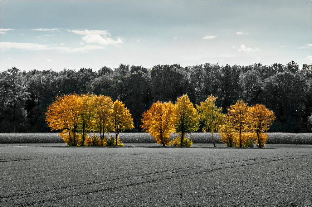 Herbstzeit