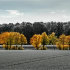 Herbstzeit