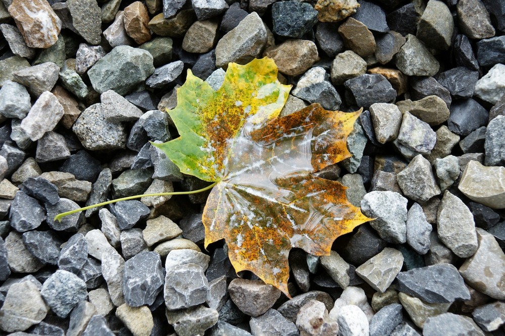 Herbstzeit