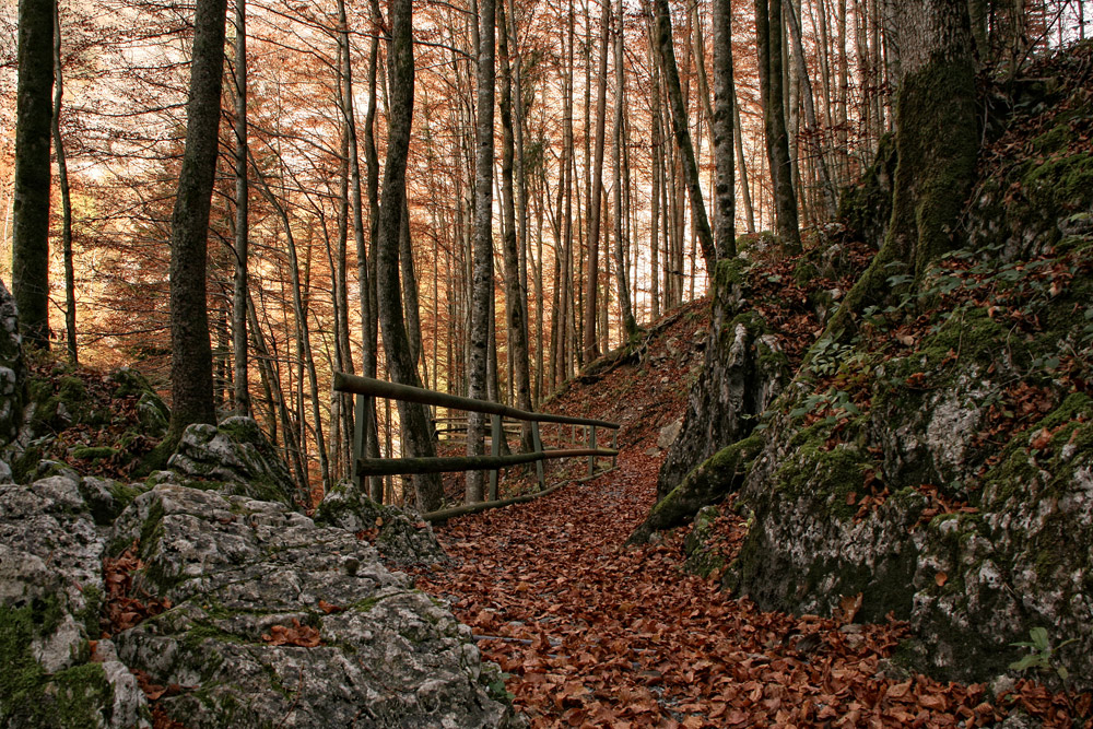 Herbstzeit