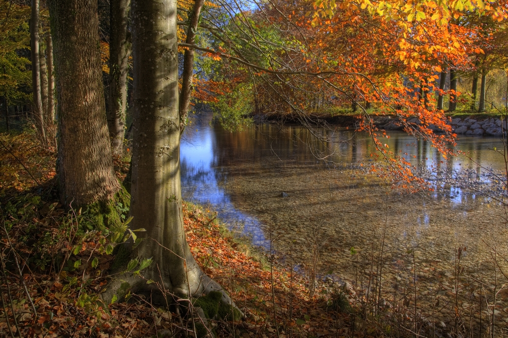 Herbstzeit