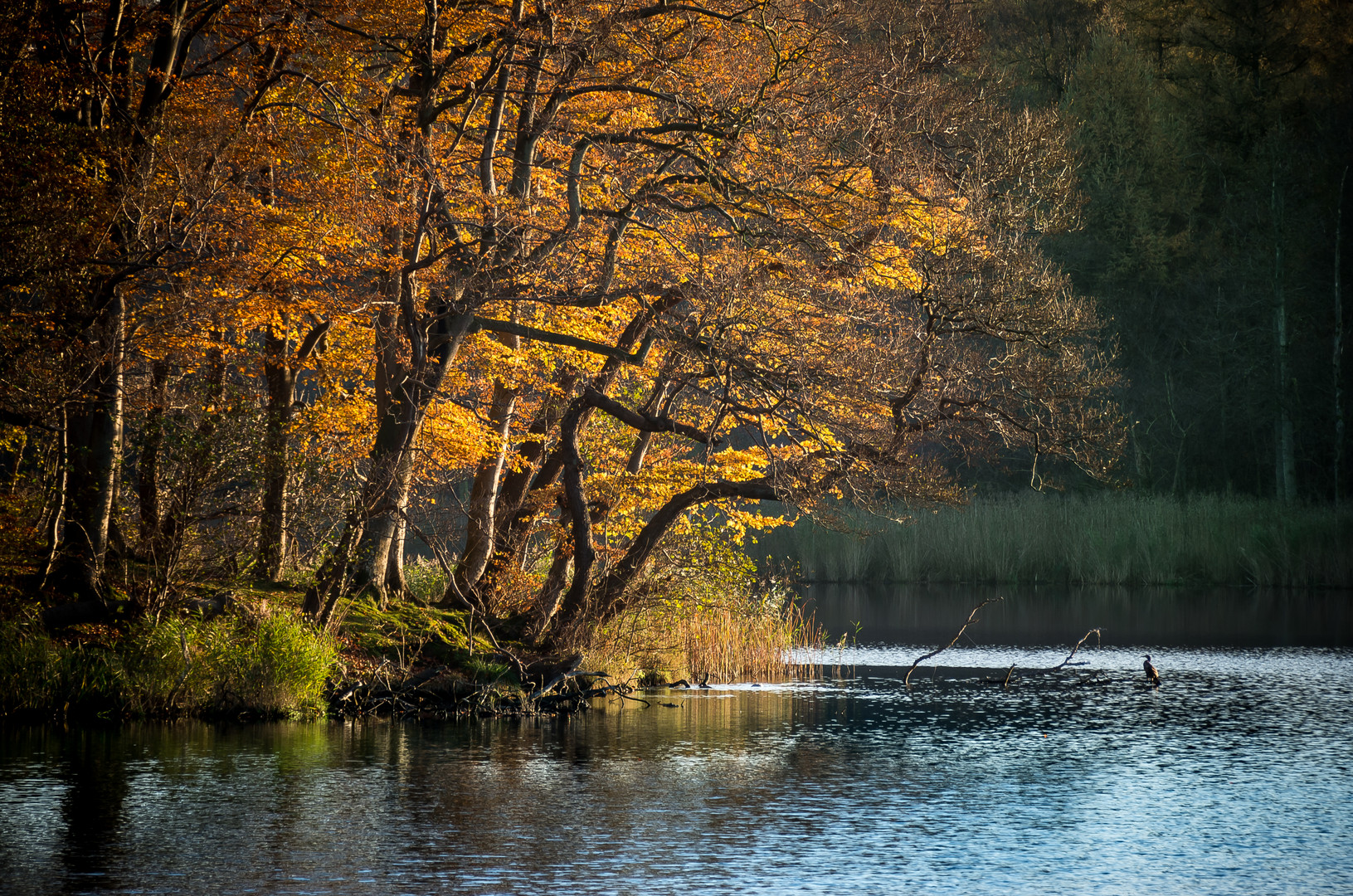 Herbstzeit