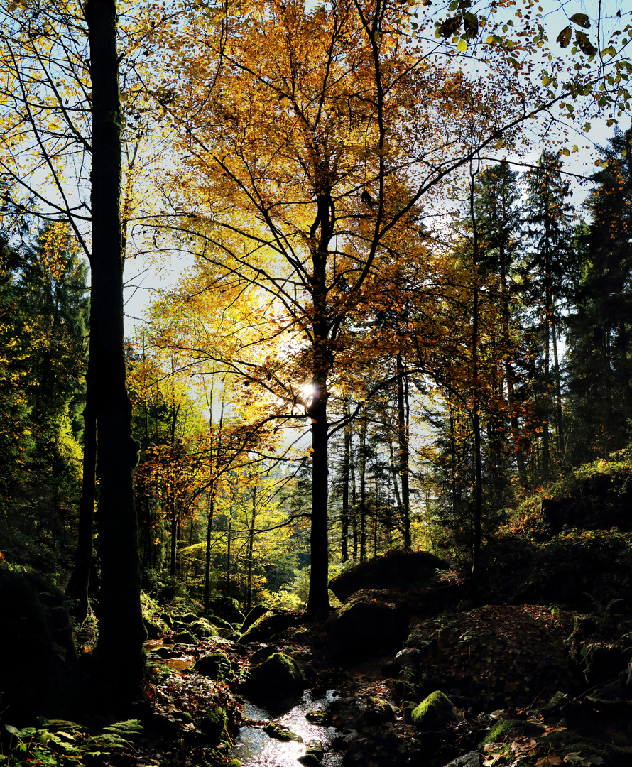 Herbstzeit