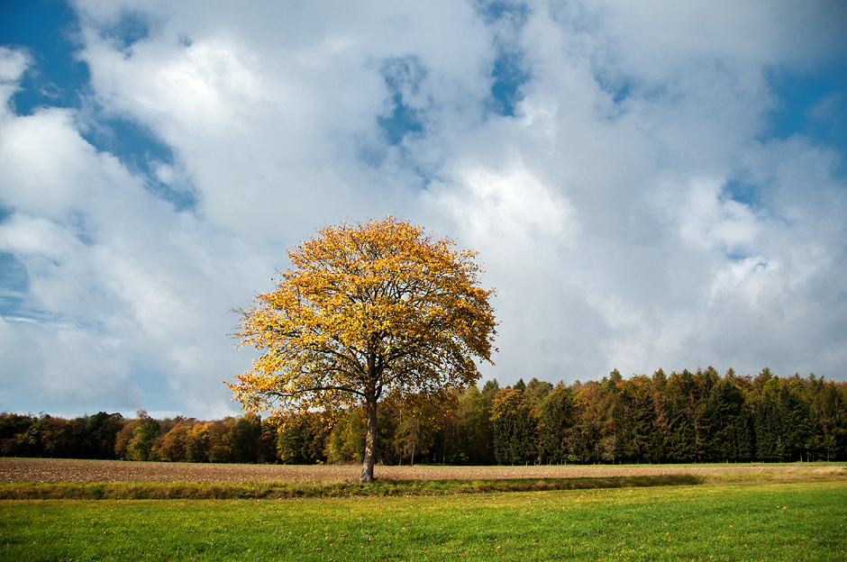 Herbstzeit