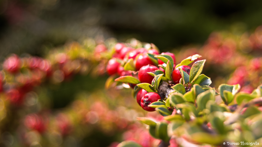 Herbstzeit