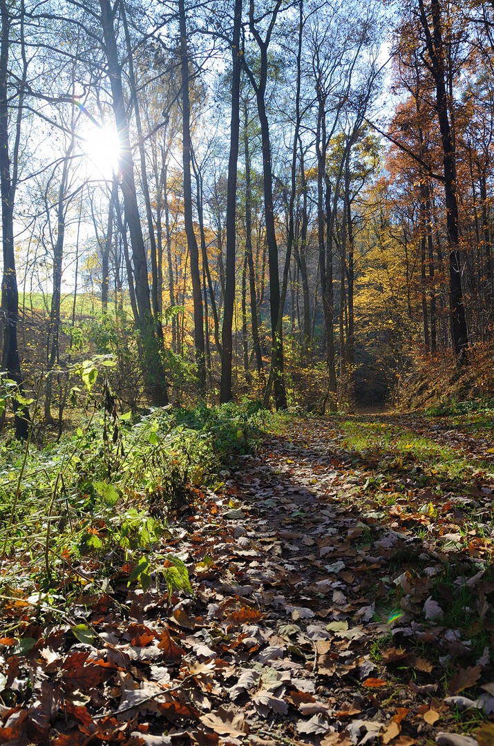 Herbstzeit