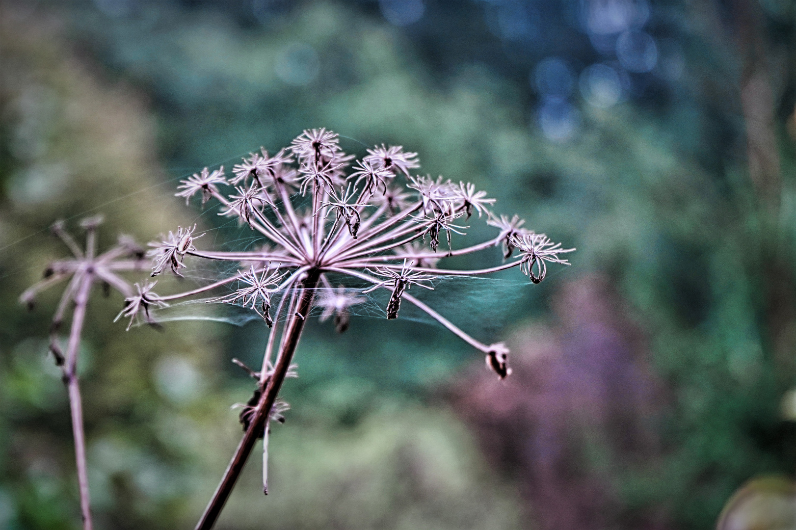 Herbstzeit