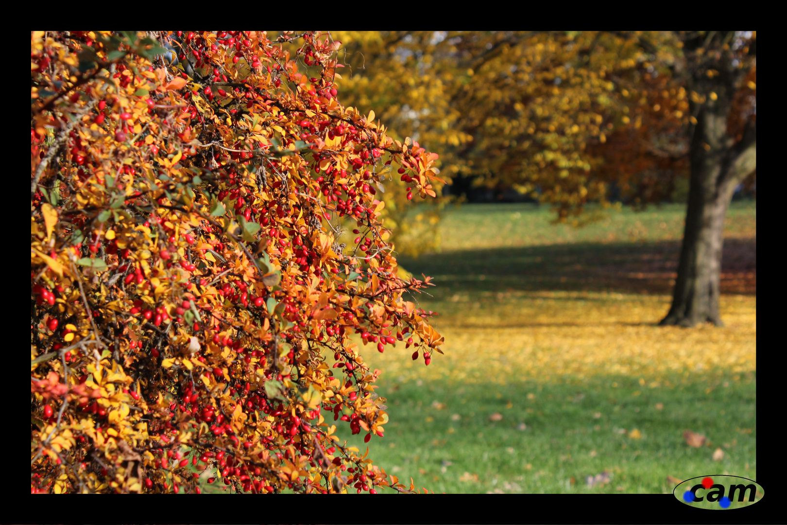 Herbstzeit