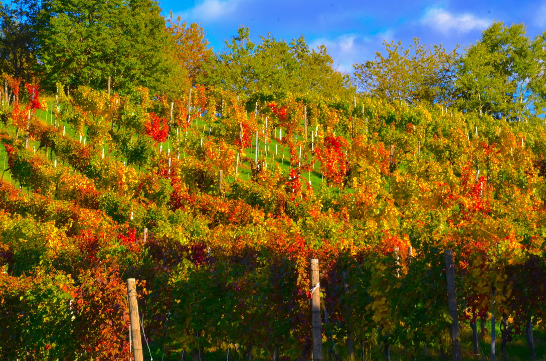 Herbstzeit