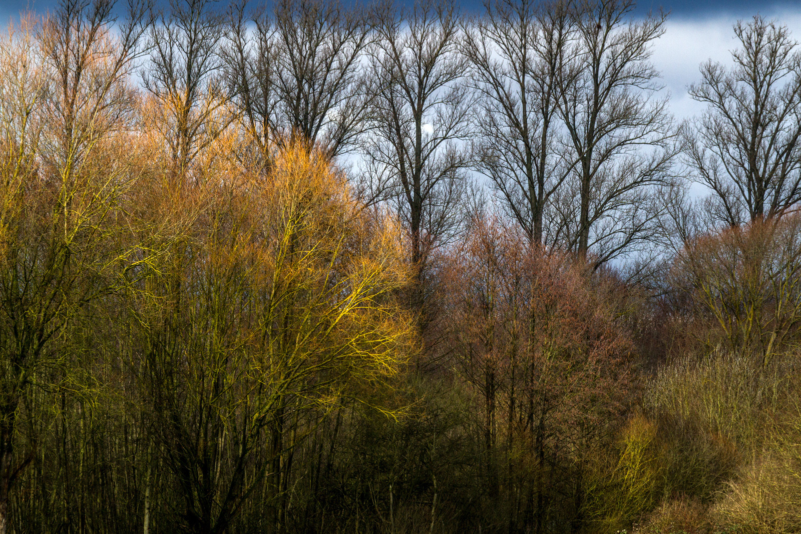 Herbstzeit