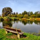 Herbstzeit am Angelsee