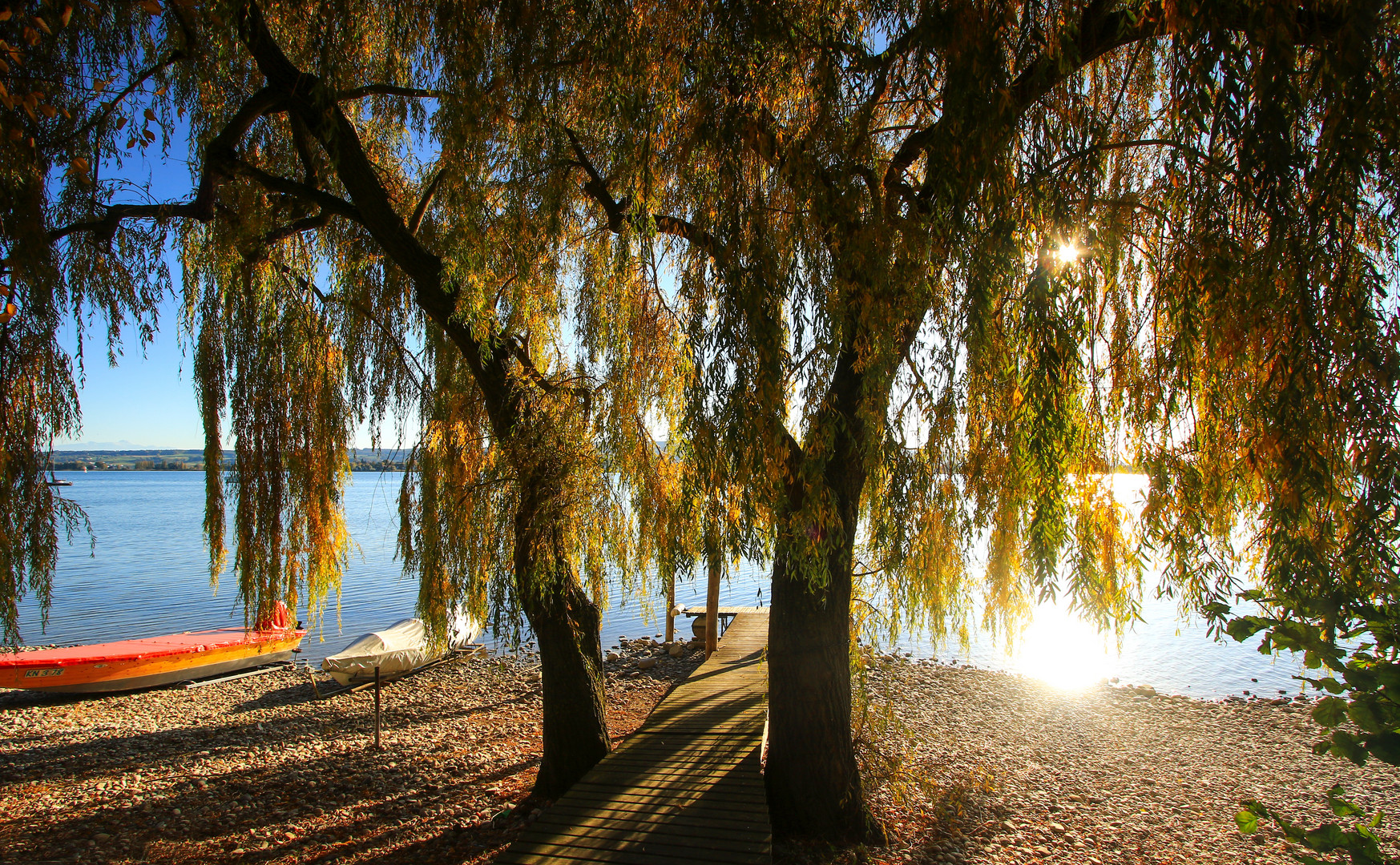 Herbstzeit am Bodensee