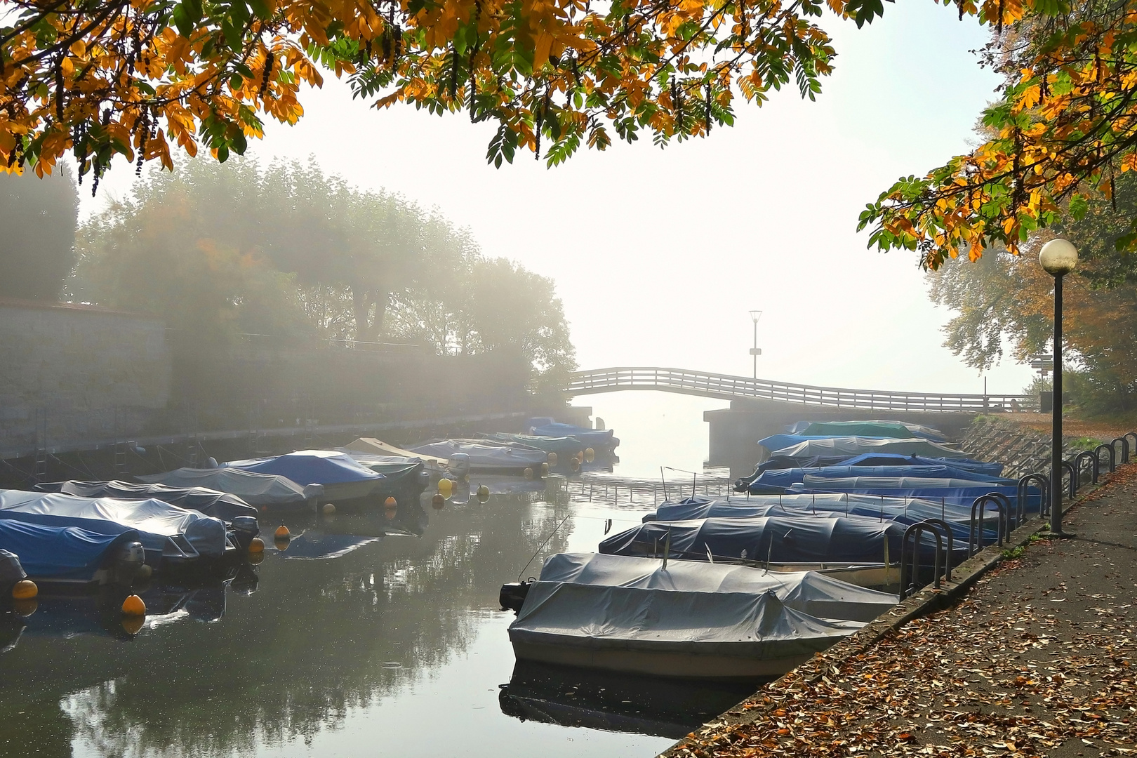 Herbstzeit am Bodensee