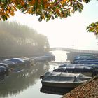 Herbstzeit am Bodensee