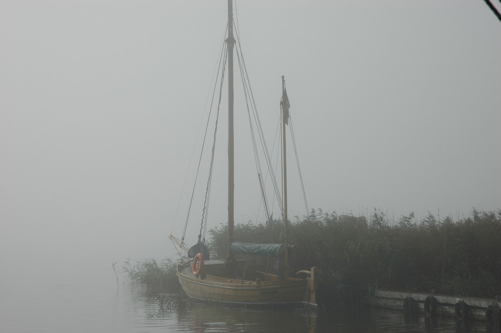 Herbstzeit am Darßer Bodden